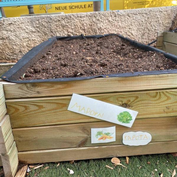 Erasmus+ Ateny, listopad 2024